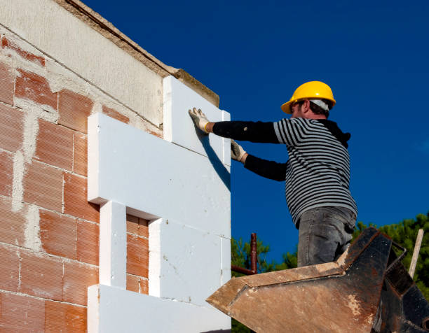 Best Insulation Maintenance and Repair in Davis Junction, IL