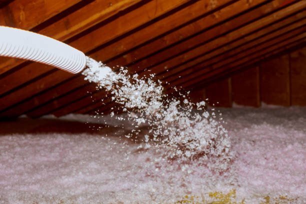 Best Spray Foam Insulation in Davis Junction, IL