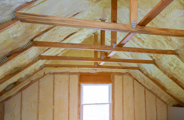 Best Insulation for Specific Applications in Davis Junction, IL