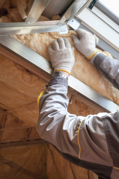 Types of Insulation We Offer in Davis Junction, IL