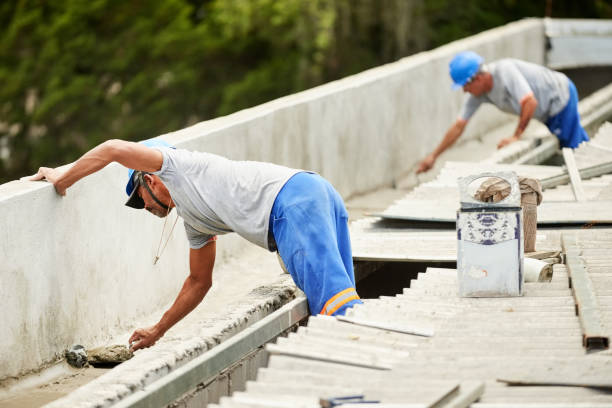 Best Eco-Friendly Insulation in Davis Junction, IL