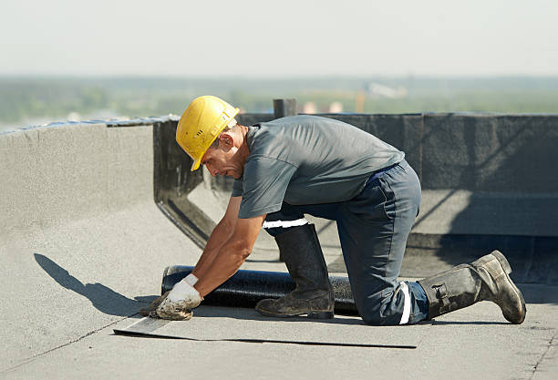 Best Blown-in Insulation in Davis Junction, IL
