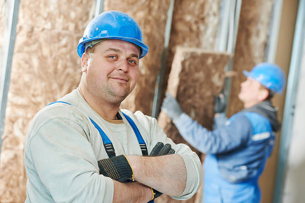 Best Energy Efficiency Insulation in Davis Junction, IL