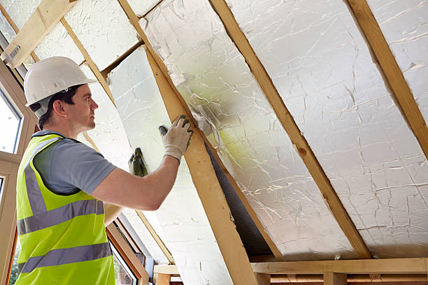 Types of Insulation We Offer in Davis Junction, IL