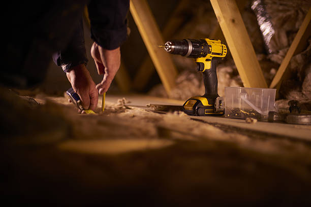 Best Spray Foam Insulation in Davis Junction, IL